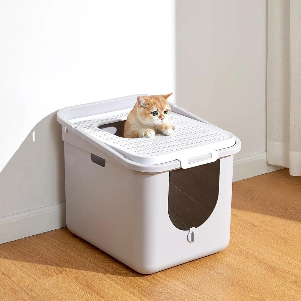 Best Top Entry Litter Box - Clean & Stylish Solution for Your Cat | PetBesty