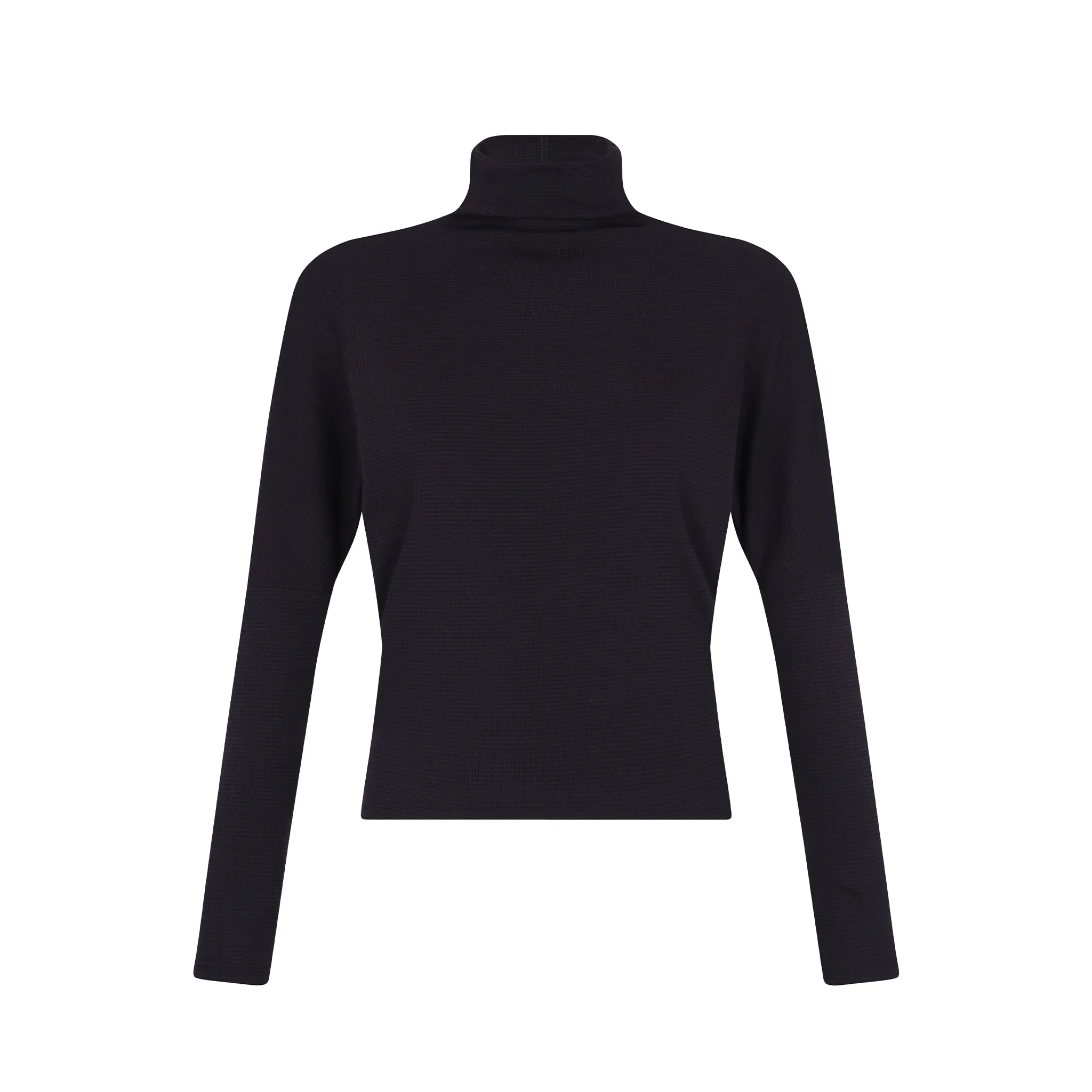 Striped Dolman Sleeve Turtleneck