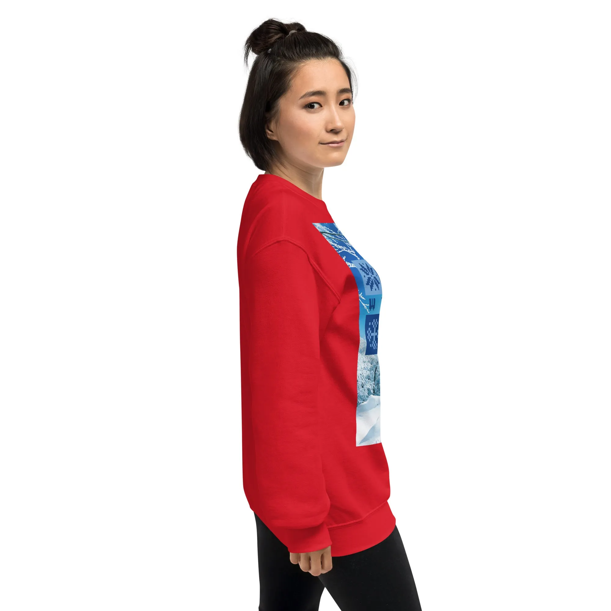 Winter Christmas Sweatshirt (Glamourange Christmas Sweatshirt Womens)